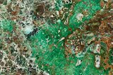 Polished Slab Of Malachite, Chrysocolla & Quartz - Australia #351981-4